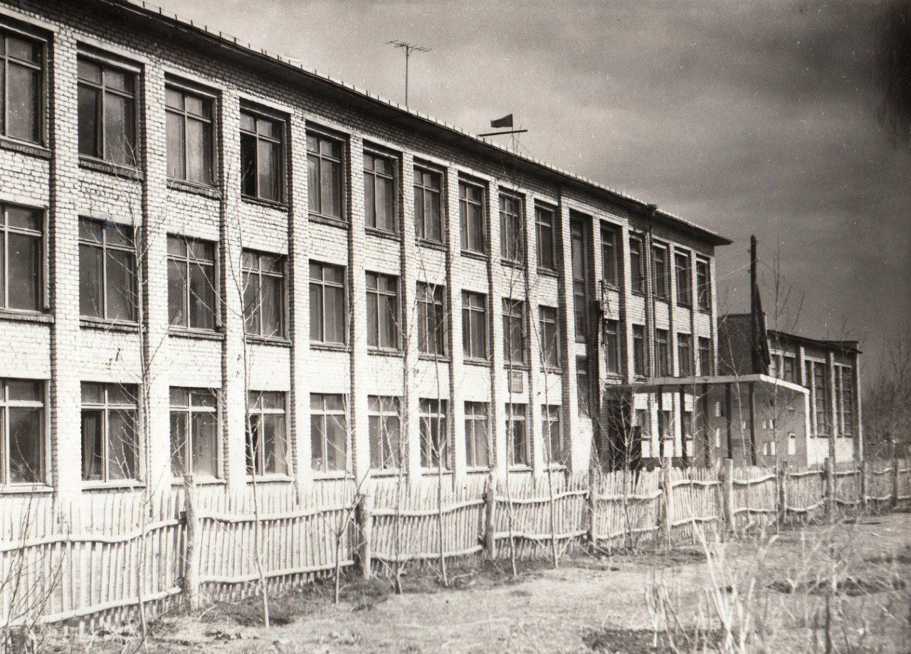 Сад возле школы